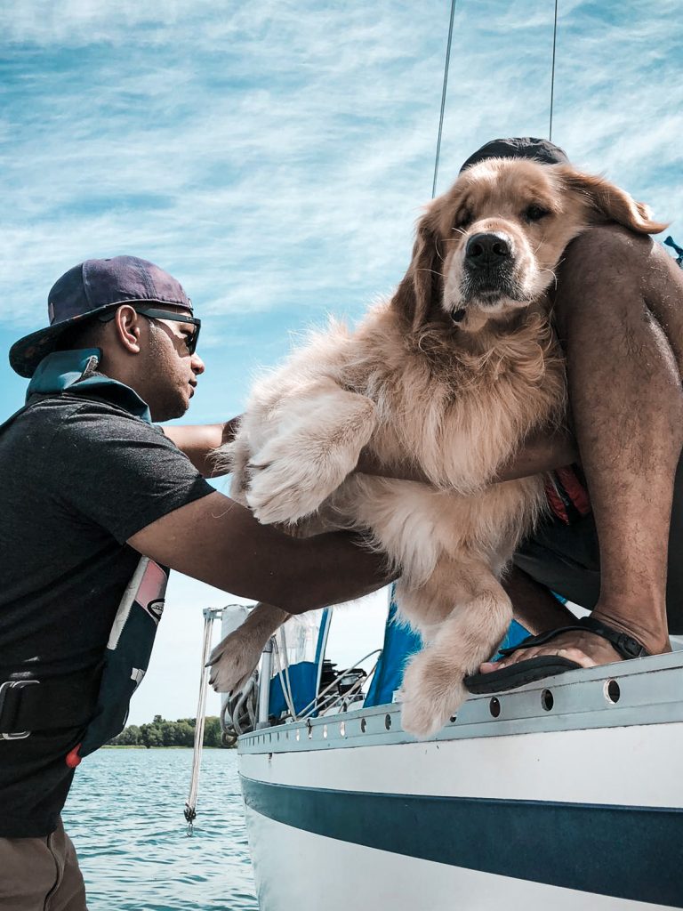 Boat Dog